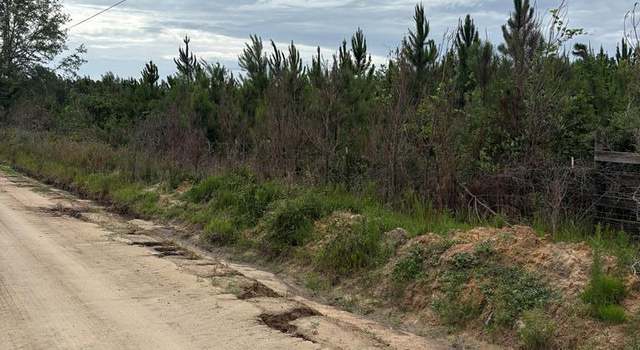 Photo of 111 Otis Shaw Rd, Ray City, GA 31645
