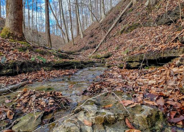Property at 6.24 AC Hutchings Bend Rd, Sparta, TN 38583
