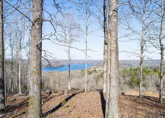 Property at Lot 23 Lillydale Rd, Byrdstown, TN 38549