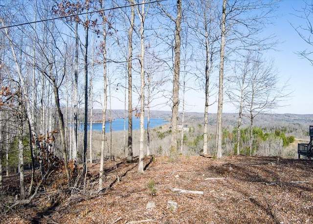 Property at Lot 24 Lillydale Rd, Byrdstown, TN 38549