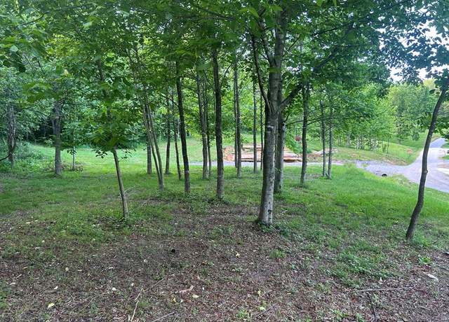 Property at 0 Shady Creek Ln, Byrdstown, TN 38549