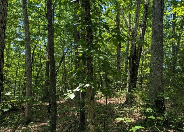 Property at lot 22 Street Place Loop, Monterey, TN 38574