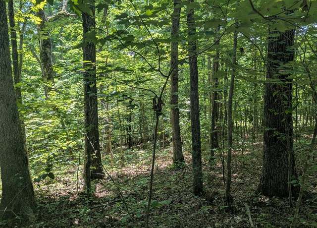 Property at lot 23 Street Place Loop, Monterey, TN 38574