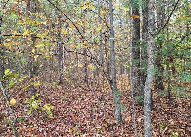 Property at Lot 1 W Robbins Rd, Robbins, TN 37852