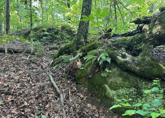Property at Lot 89 Bobcat Ln, Wilder, TN 38589