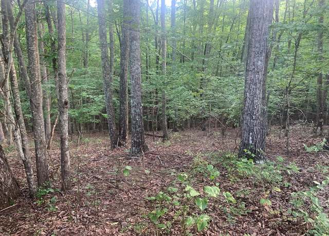 Property at 00 Jaguar Trl, Spencer, TN 38585