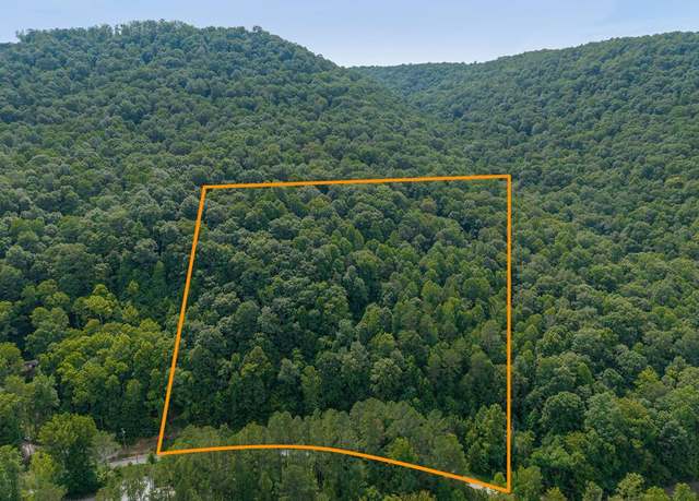 Property at 00 E Obey Ln_lot 411, Wilder, TN 38589