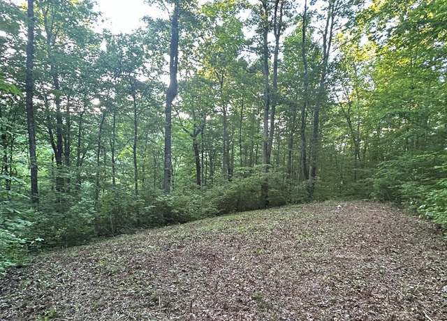 Property at Lot 52 W Bobcat Ln, Wilder, TN 38589