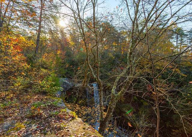 Property at 0 Monteagle Falls Rd, Monteagle, TN 37356