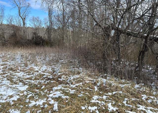 Property at n/a Chapman Rd, Jamestown, TN 38556