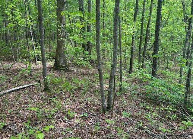 Property at lot 116 Big Piney Loop, Wilder, TN 38589