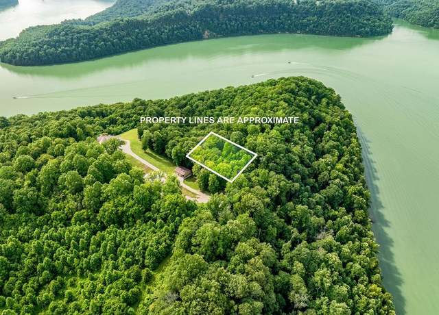 Property at 0 Oak Hill Rd, Byrdstown, TN 38549