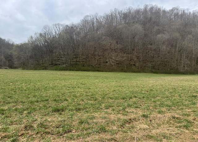 Property at Lot 4 Pine Lick Rd, Whitleyville, TN 38588