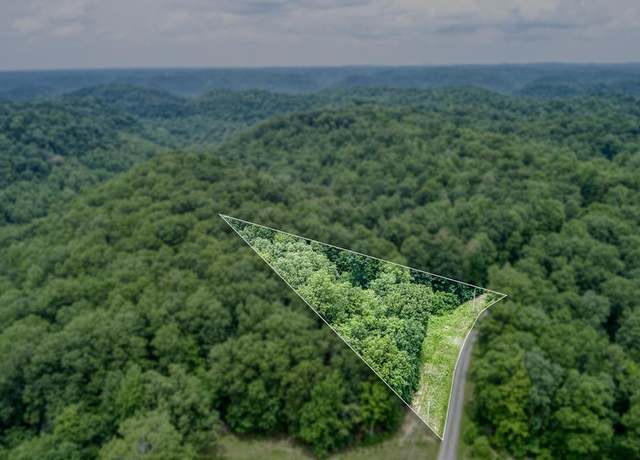 Property at 3.12 AC Twin Oak Ln, Gainesboro, TN 38562