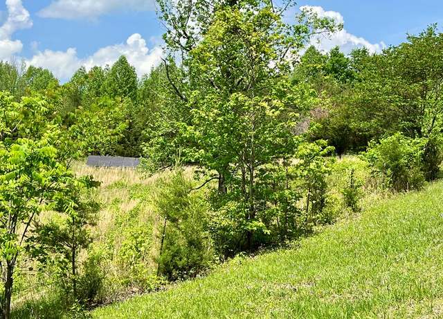 Property at 112b Dale Ln, Hilham, TN 38568