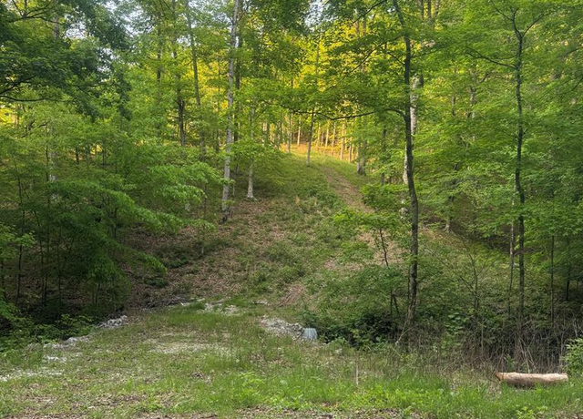Property at 6.96 Star Point Rd, Byrdstown, TN 38549