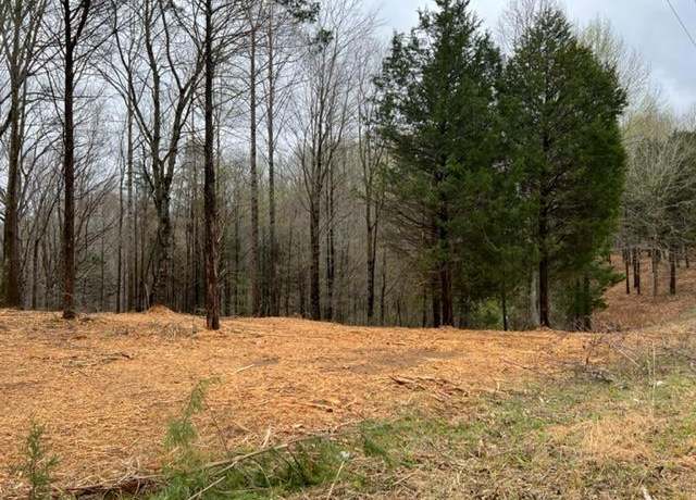 Property at Lot 2 Willow Grove Hwy, Allons, TN 38541