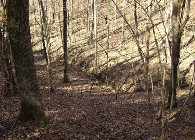 Property at Undisclosed address, Spring City, TN 37831