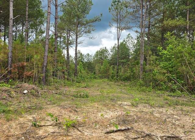 Property at Lot 10 Holly Woods, Robbins, TN 38562