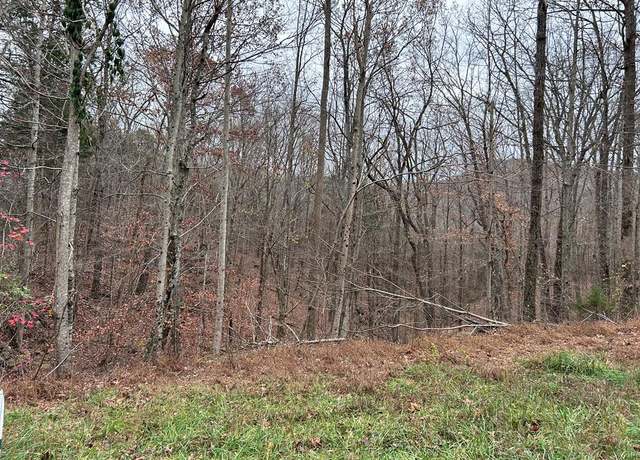 Property at Lot 19 Cheyenne Dr, Jamestown, TN 38556