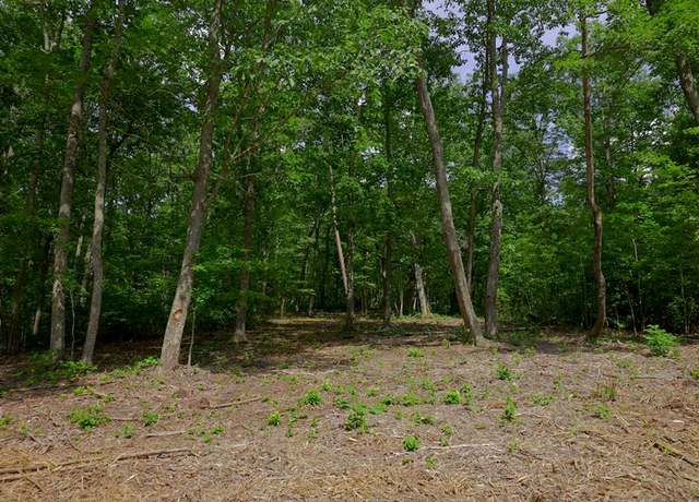 Property at 770 Overlook Dr, Spencer, TN 38585