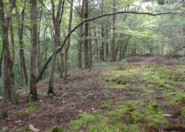 Property at 2.64ac Old Hwy 53 S, Celina, TN 38551