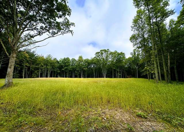 Property at 89.5ac Mose Beaty Rd, Jamestown, TN 38556