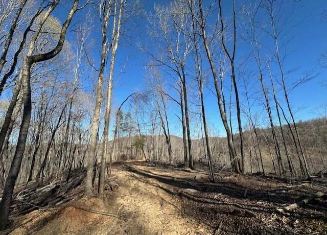Property at 00 Garrett Ln, Allons, TN 38541