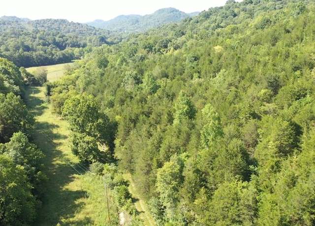 Property at 2775 Ensor Hollow Rd, Buffalo Valley, TN 38548