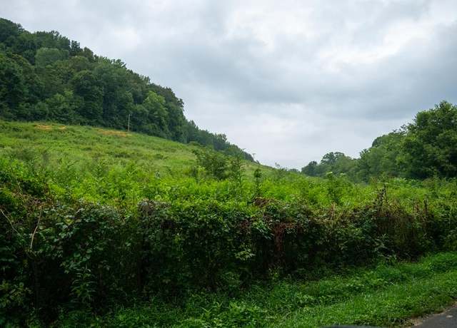 Property at 137.01 Dry Creek Rd, Celina, TN 38551