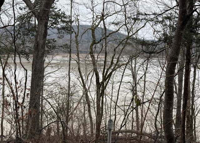 Property at 37.88 Ac Cook Ln, Gainesboro, TN 38562