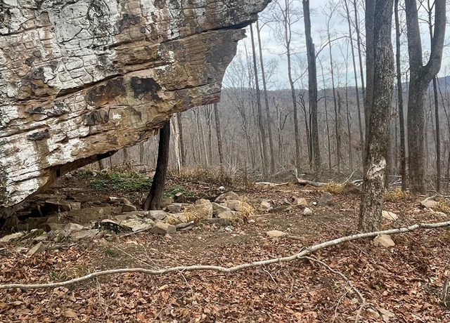 Property at 82.18ac Board Valley Rd, Cookeville, TN 38574