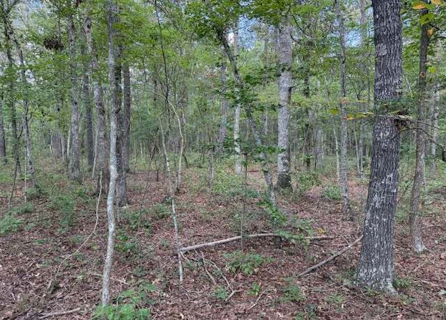 Property at 1858 Goforth Rd, Morrison, TN 37357