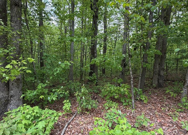 Property at LOT 12 Bow Rd, Monterey, TN 38574