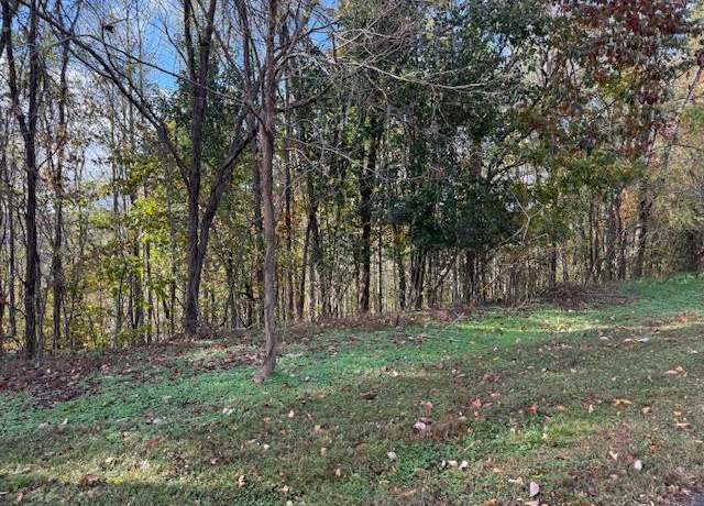 Property at 00 Deer Path Ct, Smithville, TN 37166