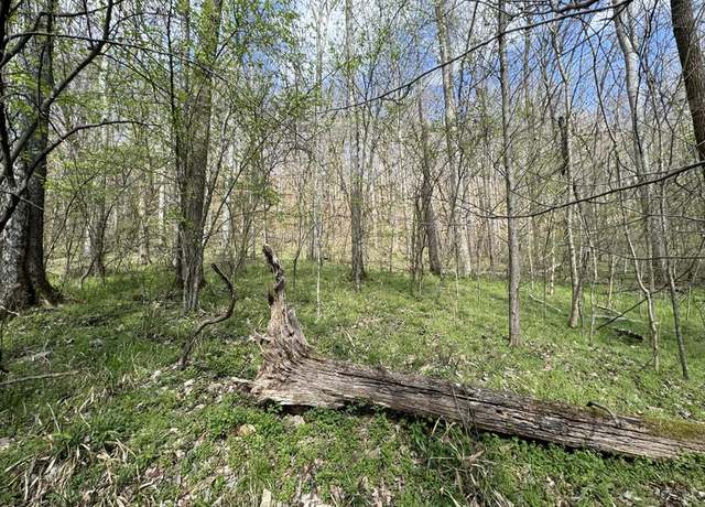 Property at 0 Lake View Dr Lot 100, Smithville, TN 37166