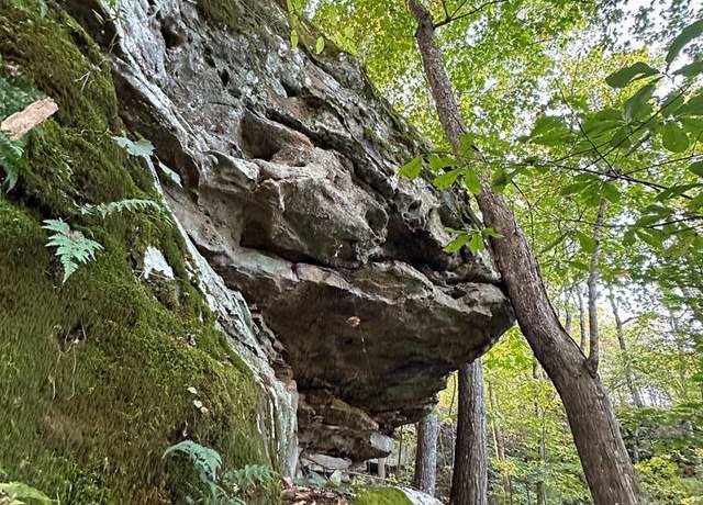 Property at LOT 408 East Obey Ln, Wilder, TN 38589