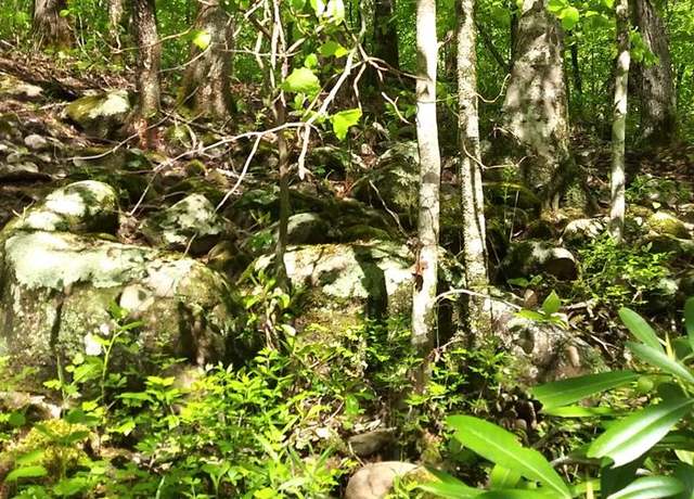 Property at Lot 47 Buckeye Ln, Wilder, TN 38589