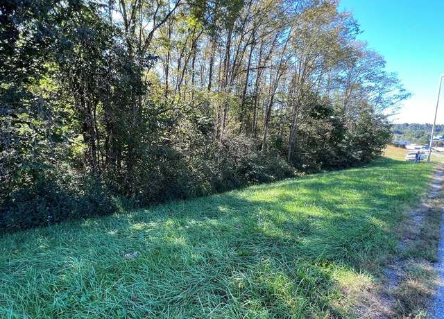 Property at 4.12 AC Hwy 42 Bypass/tulip Ave, Byrdstown, TN 38549