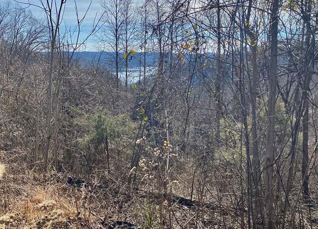 Property at Lot 114 Harbor Pointe Dr, Silver Point, TN 38582
