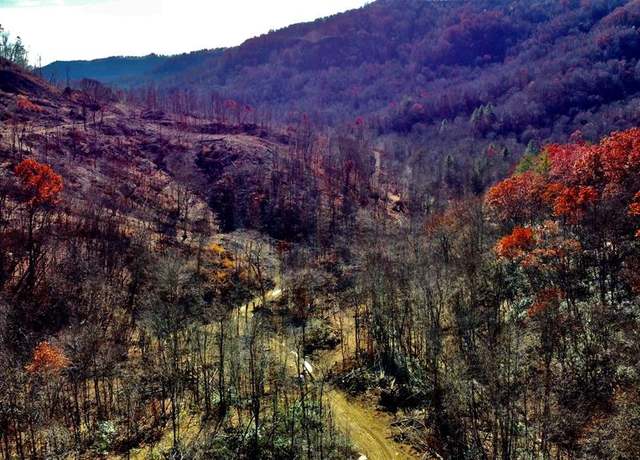 Property at STANLEY Lot #15 Stanley Creek Rd, Oneida, TN 37841