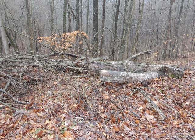 Property at 17 & 18 Savannah Dr, Smithville, TN 37166