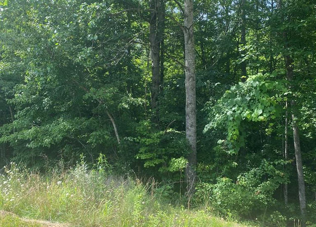 Property at LOT 1 Arrow Trl, Monterey, TN 38574