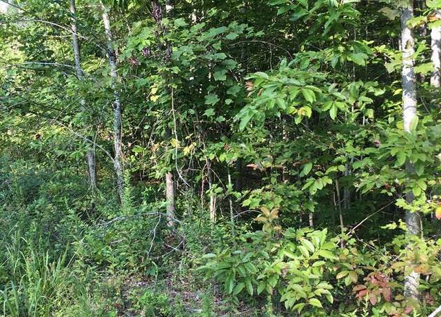 Property at Lot 239 Hood Ln, Wilder, TN 38589