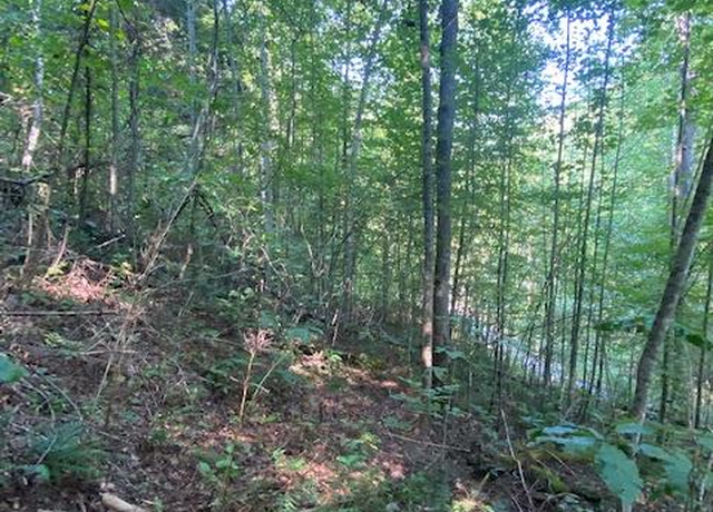 Property at Lot 383 East Obey Ln, Wilder, TN 38589