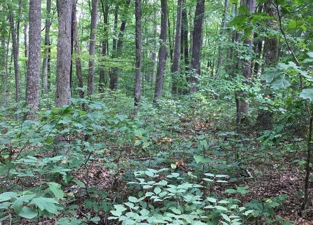 Property at Lot 384 East Obey Ln, Wilder, TN 38589