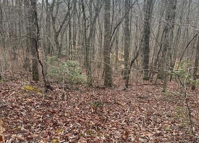 Property at lot 38 Pioneer Trl, Crawford, TN 38554