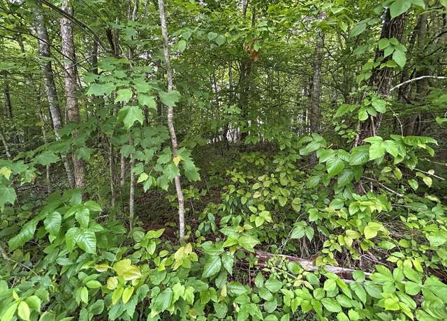 Property at n/a Hensley Rd, Jamestown, TN 38556