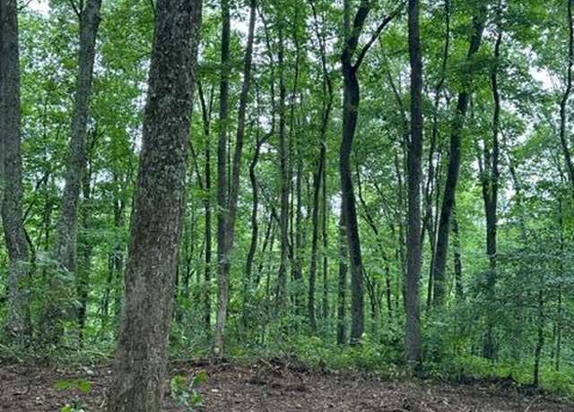 Property at lot 340 Deep Br, Wilder, TN 38589