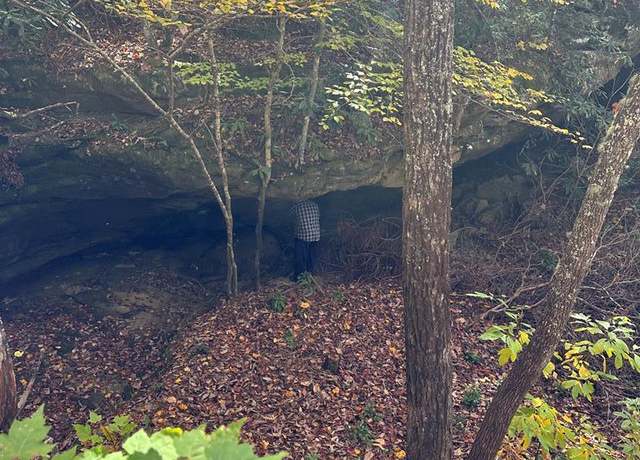 Property at Lot 91 Buckeye Ln, Wilder, TN 38589